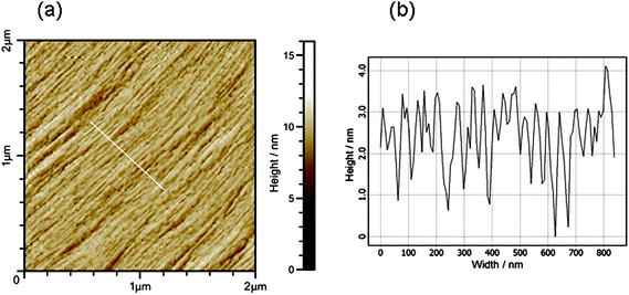 (a) AFM topography of dried film of YYKLVFF–PEG3k and (b) profile across line indicated in (a).