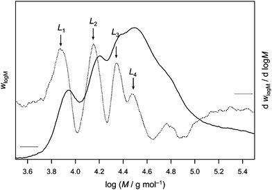 Molecular weight distribution as determined viaSEC and its first derivative of a polyHCPA sample made by PLP at 14.1 °C.