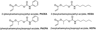 Monomers under investigation in this work.