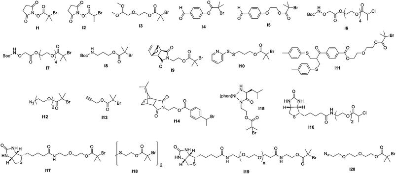 Structure of ATRP initiators employed in the synthesis of bioconjugates.