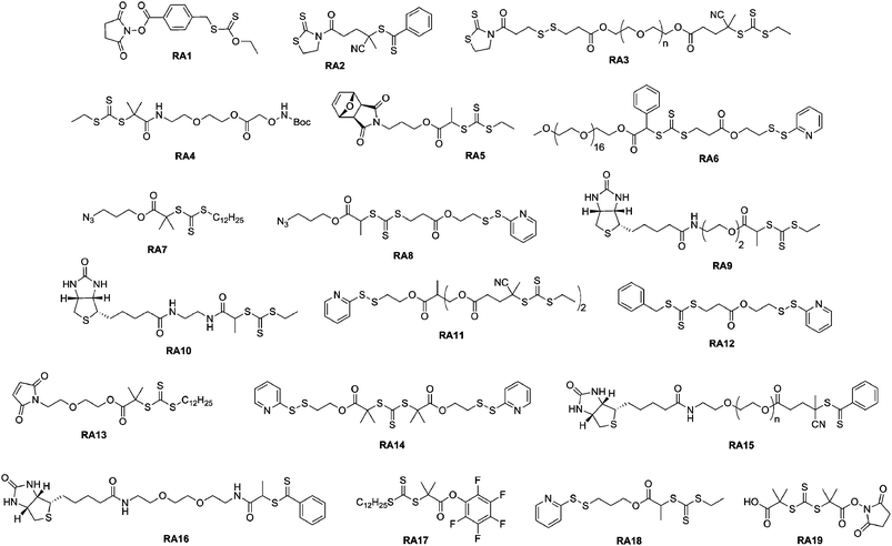 Structure of RAFT agents employed in the synthesis of bioconjugates.