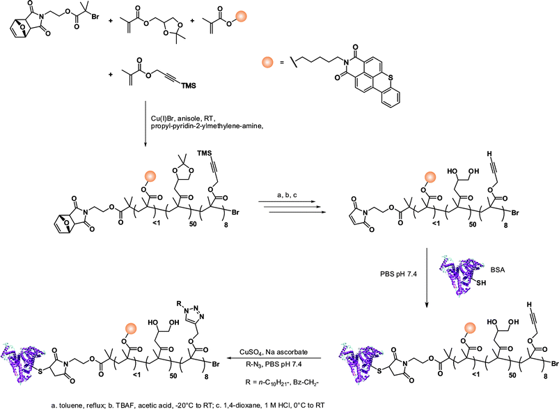 Design of giant amphiphiles by a combination of ATRP and click chemistry.81