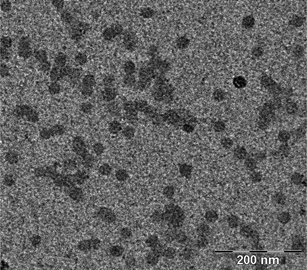Transmission electron microscopy (TEM) image of the dried final latex from experiment 14.