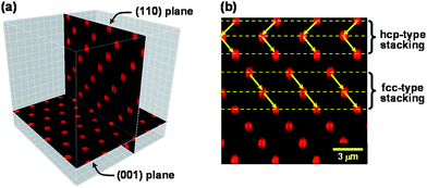 CLSM images of the (001) and (110) crystalline planes of a colloidal crystal.21 (a) shows the spatial relation between the (001) and (110) planes, and (b) demonstrates the difference of hcp and fcc stackings appearing in the (110) plane. Reproduced by permission of The American Chemical Society from ref. 21: Morinaga et al., Macromolecules, 2008, 41, 3620. Copyright 2008 American Chemical Society.