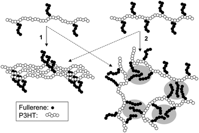 Schematic representation of two competing processes: (1) ordering and semi-crystallization of P3HT which requires the backbone to aggregate/organize first, and (2) aggregation of the less soluble fullerene groups (shaded area) for low (left) and high (right) graft-chain density polymers. The solid arrows show the dominant process for each structural case.