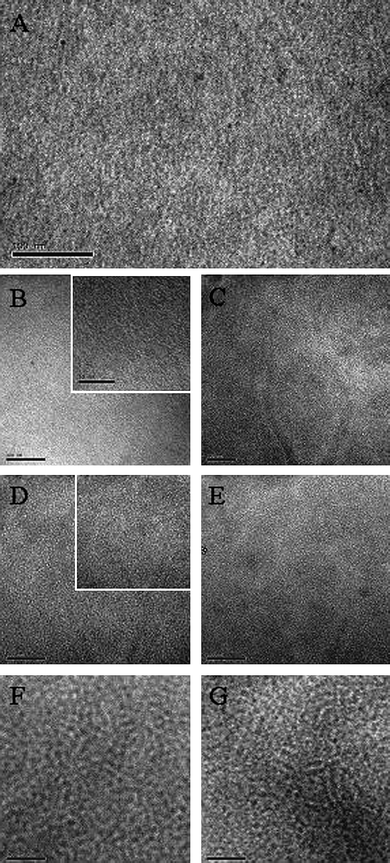 TEM images (scale bar: 100 nm) of 5d (A), 8d before (B) and after annealing at 150 °C for 8h (C), 8e before (D) and after annealing for 3h (E), and P3HT : PCBM (1 : 1) before (F) and after annealing for 3 h (G). In (B) and (D), insets show a higher magnification (scale bar: 50 nm).