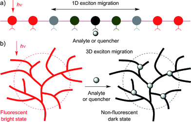 Schematic illustrations of the amplification effects involved in the quenching processes of the fluorescence from (A) one-dimensional (1D) linear and (B) three-dimensional (3D) hyperbranched polymers by analytes.