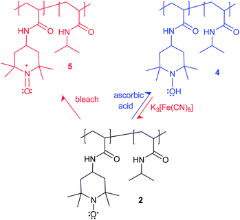 Redox behaviour of copolymer 2.