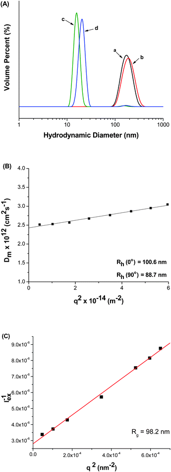 (A) DLS measurements showing the reversibility of the AuNP-“locking” of vesicles formed from P(DMAEMA165-b-NIPAM435). (a) 0.01 wt% P(DMAEMA165-b-NIPAM435) (pH 7.0, T = 50 °C), (b) AuNP cross-linked vesicles (T = 25 °C), AuNPs after ligand exchange with (c) cysteamine and (d) PEG-SH. (B) Angular dependent DLS and (C) SLS measurements for the AuNP cross-linked vesicles.