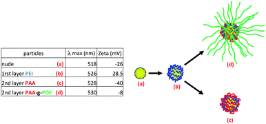 Scheme and table summarizing the LbL methodology, zeta potential and UV-vis analysis (POE = POEGMA).