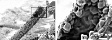 SEM images of PEDOT nanotubes at different magnifications. Nanotubes are produced by electropolymerization around PLGA nanofibres and subsequent dissolution of the core fibre leaving only the PEDOT shell. Reproduced from Abidian et al.,79 “Conducting-polymer nanotubes for controlled drug release”, Advanced Materials, 2006 (18). Copyright Wiley-VCH Verlag GmbH & Co. KGaA. Reproduced with permission.