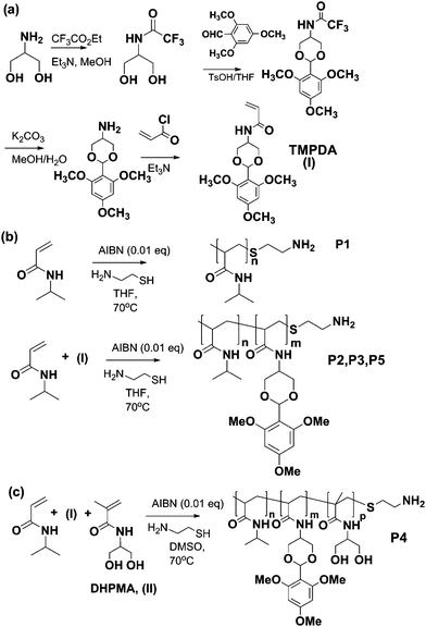 Synthesis of monomer and polymers: (a) pH-sensitive monomer N-(2-(2,4,6-trimethoxyphenyl)-1,3-dioxan-5-yl)acrylamide (I) (TMPDA) and (b and c) polymer preparation routes.