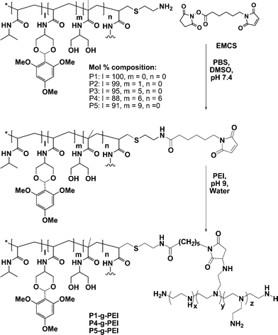 Synthetic route to responsive graft terpolymers from linear polymers P1, P4, and P5 via 2-stage heterobifunctional linker coupling.