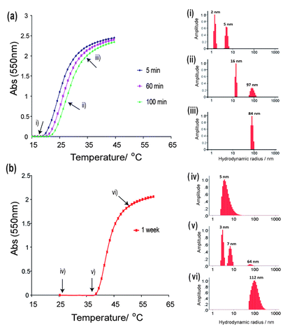 Change in cloud point of P5-g-PEI (5 mg mL−1) with time at pH ≈ 5.6 at (a) early time points and (b) after complete hydrolysis; (i–vi) DLS of P5-g-PEI solutions at different stages of hydrolysis to show the sizes of species present after 100 minutes at pH 5.6, at temperatures (i) 15 °C, (ii) 25 °C, (iii) 37 °C, and after complete hydrolysis at temperatures (iv) 25 °C, (v) 37 °C, and (vi) 50 °C.