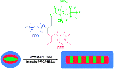 The transition in morphology in aqueous solution of an ABC-type miktoarm star, from “hamburger” micelles (left) to segmented worms (right), as hydrophobicity of the polymer increases. The colors in the picture of the self-assembled structures (bottom) correspond to the polymer's structure (above).