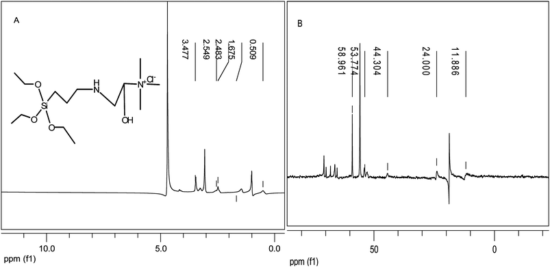 (A) 1H (B) 13C NMR spectra of anion-exchange silica precursor (AESP).