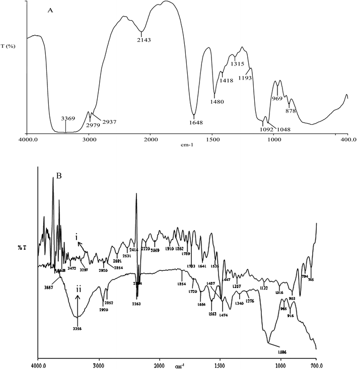 (A) FT-IR spectra for AESP; (B) ATR-FTIR spectra of (i) uncrosslinked and (ii) cross-linked AEM