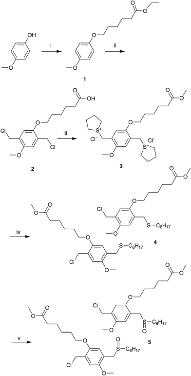 Synthesis of the functional sulfinyl monomer 5 (i: NaOtBu, ethyl 6-bromohexanoate, NaIcat, EtOH (reflux); ii: p-CH2O, Ac2O, HCl, 60 °C; iii: THT, MeOH, 50 °C; iv: C8H17SH, NaOtBu, MeOH; v: H2O2, TeO2, HClcat, 1,4-dioxane).