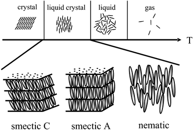 Schematic illustration of the occurrence of thermotropic liquid crystal phases as an intermediate state between the solid crystal and the isotropic liquid. Liquid crystals exhibit both, anisotropy of physical properties, alongside with flow properties of a viscous liquid. A large variety of liquid crystal phases are distinguished, the most prominent being shown; the nematic phase with only orientational order of the long axis of elongated molecules, and the fluid smectic phases (smectic A and smectic C) which exhibit additional one-dimensional positional order.