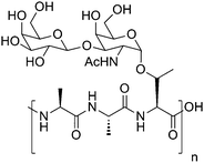 Structure of native AFGP.