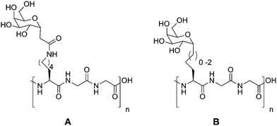 Synthetic AFGP mimics of Ben et al.