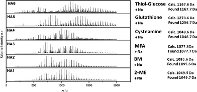 ESI-MS result of oligo(PEGMEMA475) reacted with various thiol compounds. Identified peaks of products are tabulated in Table S2, see ESI (HA1–HA6).