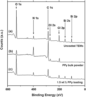 XPS survey spectra recorded for: (a) uncoated TEMs, (b) PPy bulk powder and (c) 1.5 wt% PPy-loaded TEMs.