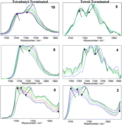 VT-FTIR (25–120 °C) spectra of the model bisurethane compounds (9 and 10) and selected polymer derivatives. Characteristic peaks: 1730–1740 cm−1 free urethane carbonyl, 1703–1710 cm−1 hydrogen bonded, 1690–1700 cm−1 free urea carbonyl, 1660–1670 cm−1 hydrogen bonded urea carbonyl (disordered), 1630–1645 cm−1 hydrogen bonded urea, 1575 cm−1 strongly H-bonded amide II. Arrows indicate effect of increasing temperature.