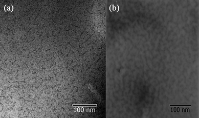 TEM micrographs of (a) 2 and (b) 3 obtained for dried films, stained with uranyl acetate.