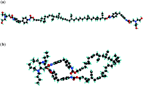 Modelling of the hydrogen bonding interactions of (a) tetrol terminated bisurethane systems in the extended configuration and (b) tetrabutyl terminated bisurethane system in the hairpin configuration.