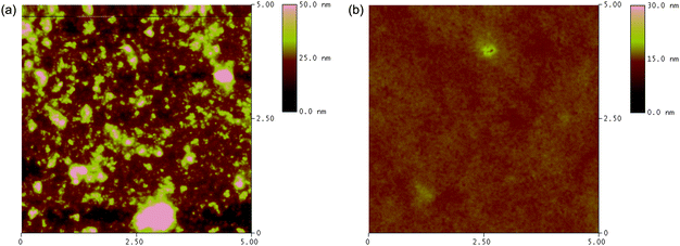 AFM (5μm × μm) topography images of (a) PBDTBTz : PC71BM (1 : 4); (b) PBDTDTBTz : PC71BM (1 : 4) blend films.