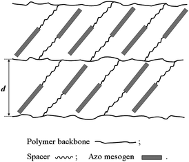 Proposed liquid crystalline structure for P10-C and P10-F.