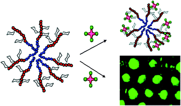 A schematic representation of PNA lectins binding with galactosylated micelles and porous films.117 Reproduced with permission from ACS, copyright 2009.