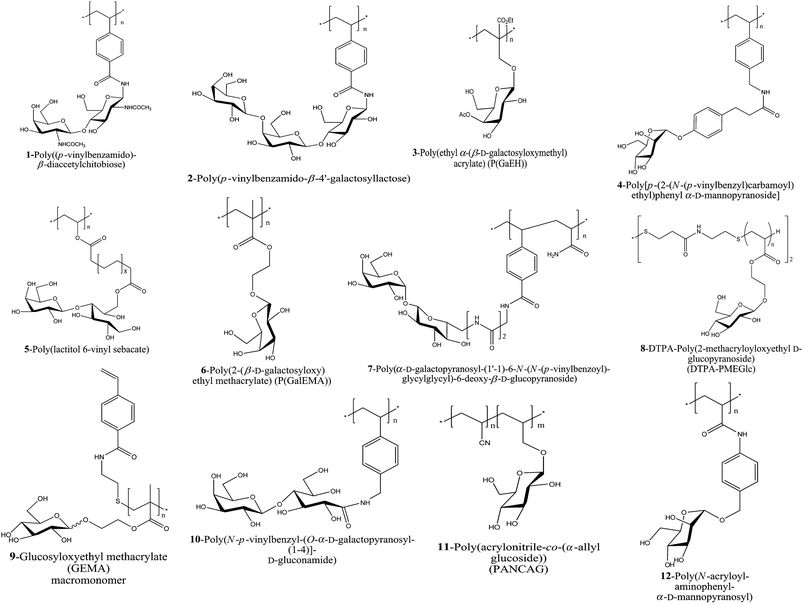 A schematic of the glycopolymers used for lectin conjugation synthesized via FRP.