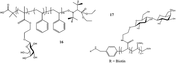 Glycopolymers synthesized via nitroxide-mediated controlled radical polymerization 16 and cyanoxyl-mediated polymerization 17.83,117