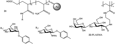 Glycopolymers conjugated with gold nanoparticles via RAFT polymerization.46,110