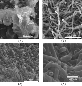 SEM images of fibers obtained from the polymerization of 55 wt% DVB and 45 wt% of ST in hexanes at 25 °C.