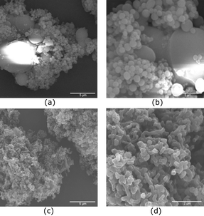 SEM images of polymer obtained from the polymerization of DVB with p-methylstyrene (a and b) and p-methoxystyrene (c and d).