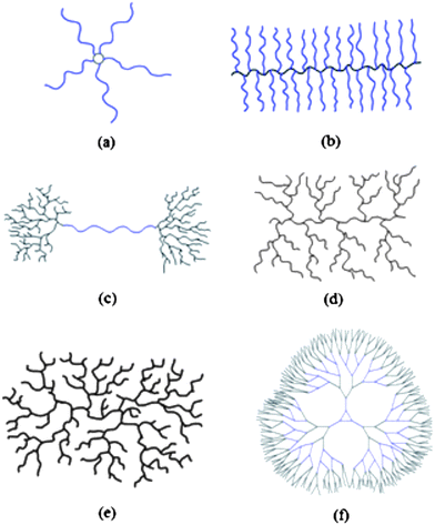 Examples of polymer architectures. (a) Star (b) Brush (c) Pom-Pom (d) Dendrigraft (e) Highly/hyper- Branched (f) Dendrimer.