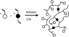 Synthesis of branched vinyl polymer using a combination of cross-linker and radical transfer agent.