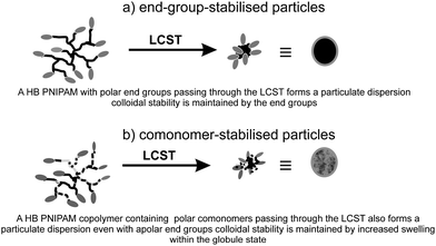 The two modes of colloidal stability that can be provided by HB polymers in dispersion.