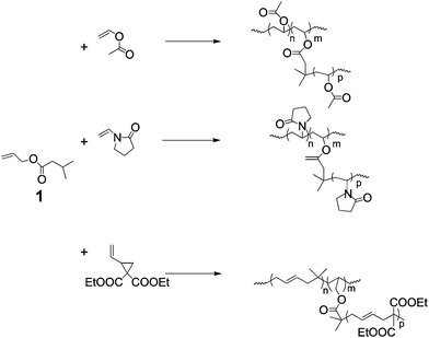 Copolymerisation with a branching comonomer, 1, which transfers by abstraction of the 2-propyl hydrogen during the polymerisation of monomers that propagate via chain radicals that are not stabilised.