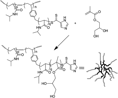 The synthesis of block HB polymers: HB poly(N-isopropyl acrylamide-block-glycerol monomethacrylate)