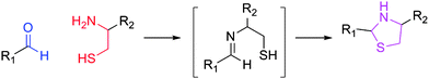 Formation of thiazolidine linkage between an aldehyde and a 1,2-amino-mercapto functionality.