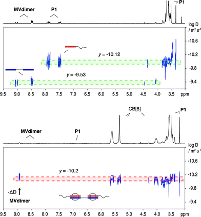 A 2-dimensional water-suppressed DOSY plot illustrating a two-component system consisting of P15K and MVdimer prior to adding CB[8] (top), and a five-component ternary complex after CB[8] addition (bottom). 500 MHz, D2O at 20 °C.