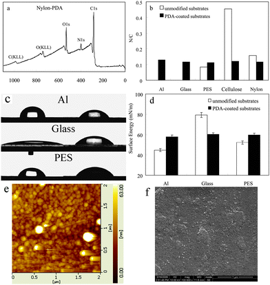 (a) XPS spectra of PDA-coated nylon; (b) the N/C molar ratio; (c) water contact angles of the PDA-coated substrates; (d) the surface energy of the PDA-coated substrates; (e) AFM and (f) FSEM images of the surface morphology of the PDA-coated glass.