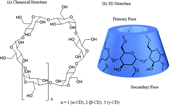 Structures of cyclodextrins.19