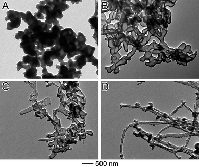 TEM image of the as-synthesized PPy samples in the presence of RB at different initial concentrations. (A) [RB] = 20 mM, (B) [RB] = 10 mM, C) [RB] = 5 mM, D) [RB] = 2.5 mM.