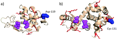 (a) Hen egg lysozyme (PDB entry 2HU1) with residues implicated in catalysis (Glu-35 and Asp-52) in magenta and Asp-119 in blue. (b) T4 lysozyme V131C (PDB entry 2HUK) with residues implicated in catalysis (Glu-11 and Asp-20) in magenta and Cys-131 in blue. For both proteins, lysine residues are in red. Conjugation at Cys-131 lead to full retention of enzymatic activity (antigenicity not tested). Modification at Asp-119 lead to partial loss of activity and did not eliminate antigenicity.47,62 Protein images produced with PyMol v.1.1.