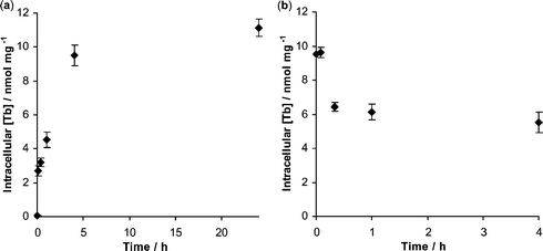 Uptake and egress of [Tb.L1]Cl3 (50 μM) in NIH 3T3 cells over time, showing standard deviations. (a) Shows uptake of complex over a 24 h period; (b) shows the egress of complex following 4 h incubation over a 4 h period.